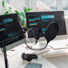 Микрофон проводной SunWind SW-SM400G