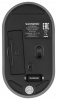 Мышь SunWind SW-M300