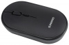 Мышь SunWind SW-M300